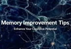 memory improvement tips
